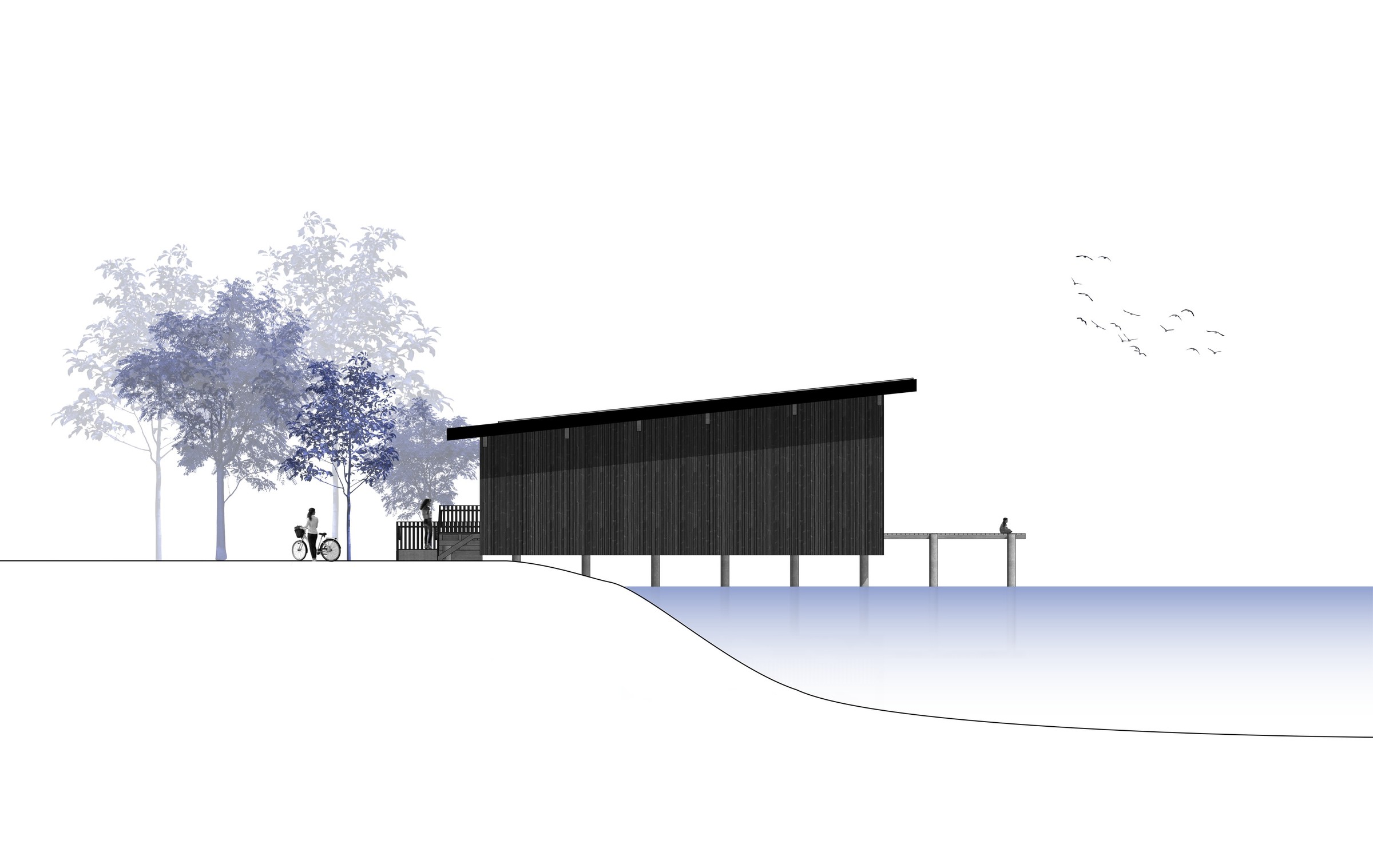 South Elevation